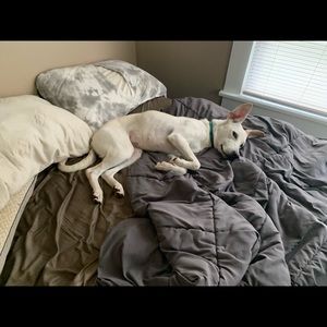 Meet your Posher, Logan